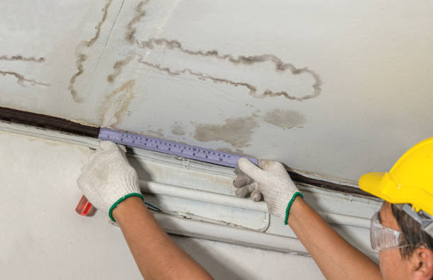 Affordable Water Damage Repair solutions in Sulligent, AL